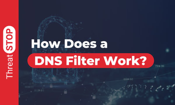 How Does A DNS Filter Work?
