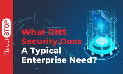 What DNS Security Does A Typical Enterprise Need?