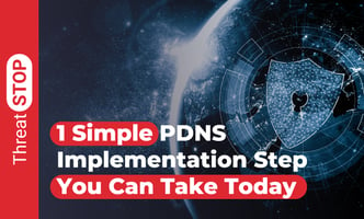 1 Simple PDNS Implementation Step You Can Take Today