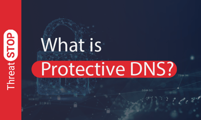 What is Protective DNS, Exactly?