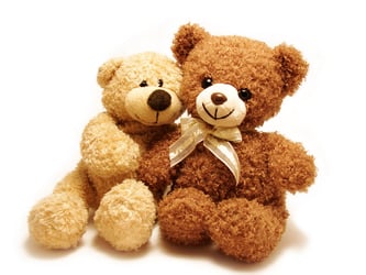 The DNC Attacked by Bears?