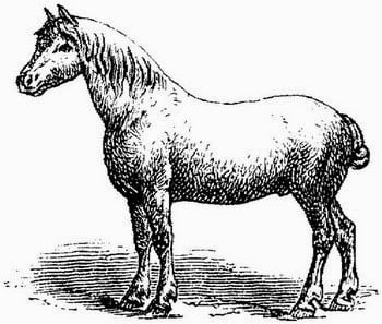 Don’t Pony Up Your Data to Fareit