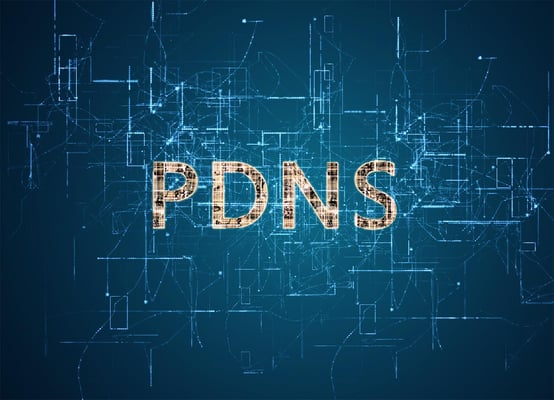 PROTECTIVE DNS SECURITY or PDNS: What You Need to Know