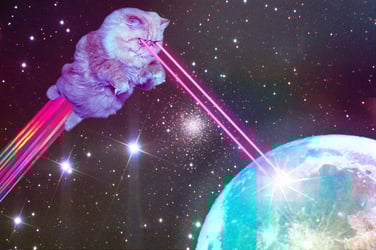How much would you pay in bitcoin to watch that cat video?