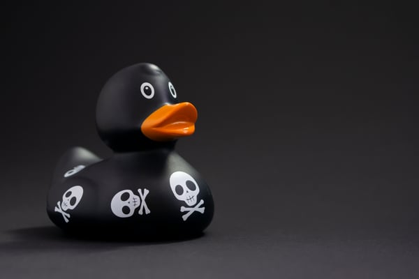 Duck DNS imposters spotted phishing for trouble